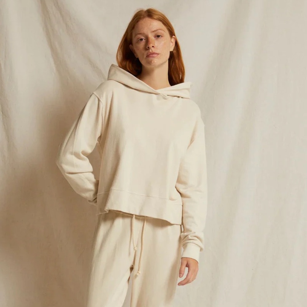 NWT perfectwhitetee Iggy French Terry Hoodie